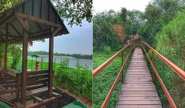 Featured Image of Okhla Bird Sanctuary